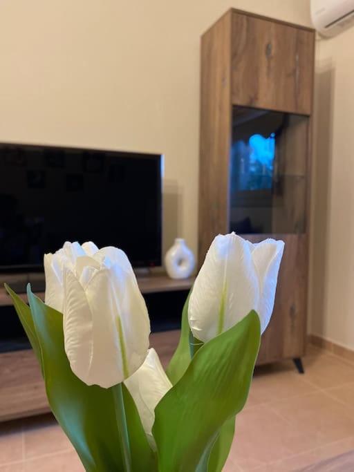 Golden House Apartment อเล็กซานโดรโพลิส ภายนอก รูปภาพ